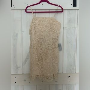Brand New with tags Crème Nordstrom Mini Dress